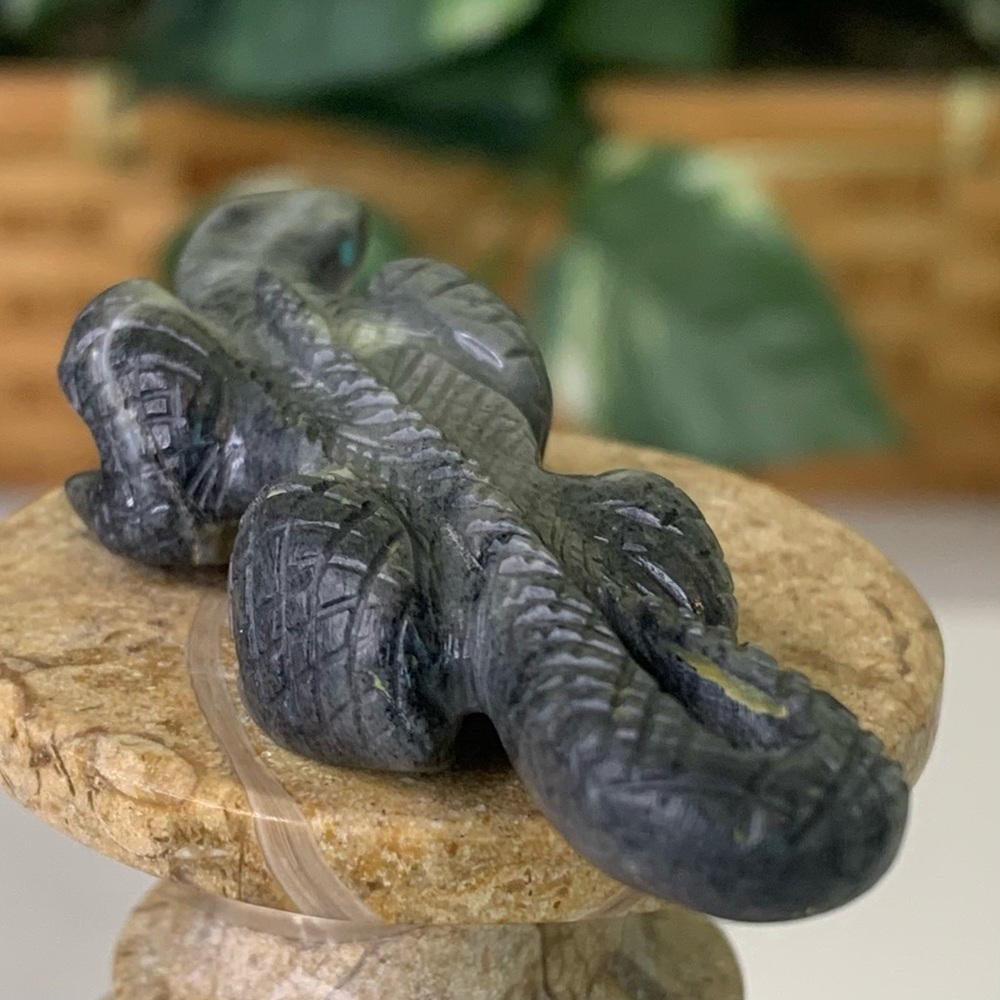 Authentic Zuni Picasso Marble Lizard Fetish Carving Nelson Yatsattie 2.5" Signed - Picture 9 of 16